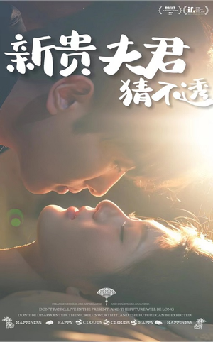新贵夫君猜不透（84集）评价怎么样