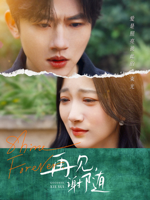 再见谢随(30集) 再见谢随(30集)UC网盘在线看