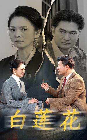 白莲花(40集) 白莲花(40集)1-102集