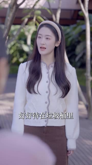 爱似流星坠落（30集）最后的大结局