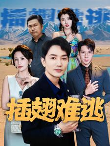 插翅难逃（43集）海量资源免费看