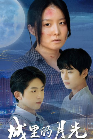 城里的月光（46集）360网盘观看