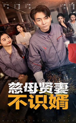 慈母贤妻不识婿(45集) 慈母贤妻不识婿(45集)免费短剧完整版