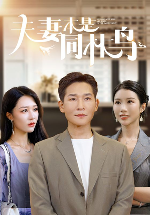 夫妻本是同林鸟(76集) 夫妻本是同林鸟(76集)超好看短剧推荐