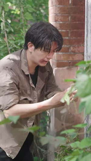 父亲的秘密（36集）超爽短剧推荐