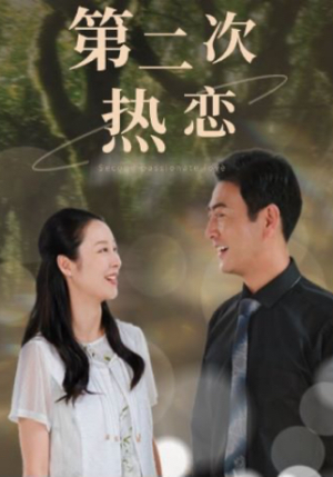 第二次热恋（48集）短剧分享剧集