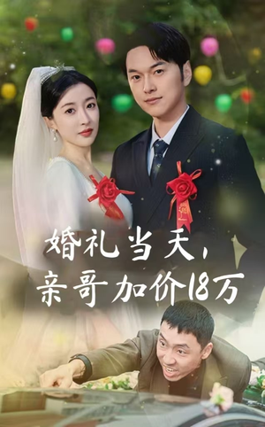 婚礼当天，亲哥加价18万（36集）海量资源免费看