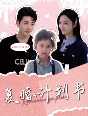 复婚计划书（96集）360网盘观看