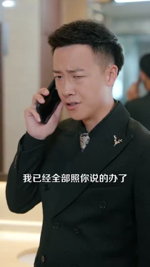 豪门总裁误惹打工妹（119集）评价怎么样