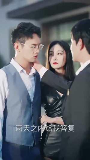 忽如一夜春风来（28集）好看的短剧