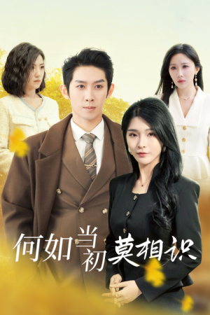 何如当初莫相识（36集）短剧分享剧集