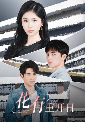 花有重开日(41集) 花有重开日(41集)无需会员免费看