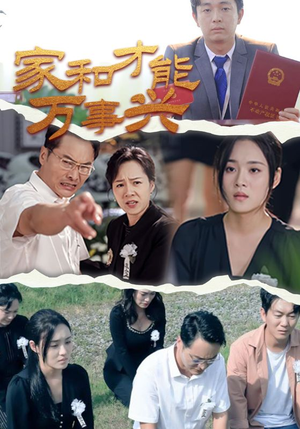 家和才能万事兴(30集) 家和才能万事兴(30集)在线免费观看