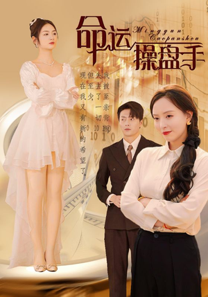 命运操盘手（40集）全集我都看完了