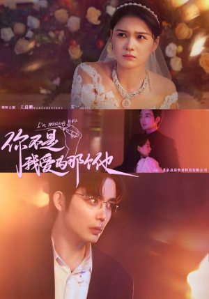 你不是我爱的那个他(54集) 你不是我爱的那个他(54集)全集免费
