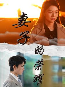 妻子的荣耀（40集）短剧太精彩了