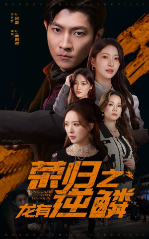 荣归之龙有逆鳞（53集）80到100集