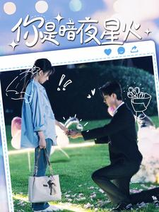 你是暗夜星火（120集）真的太精彩了