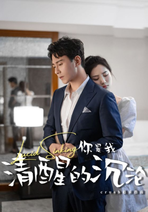 你是我清醒的沉沦（48集）好看的短剧