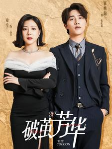 破茧芳华（80集）独家资源免费看