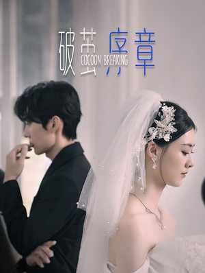 破茧序章（64集）热门短剧免费看