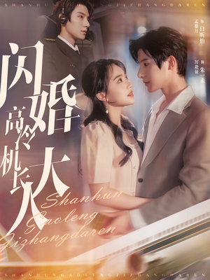 闪婚高冷机长大人（92集）热播短剧推荐