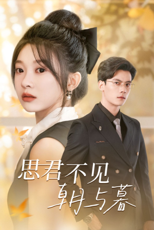 思君不见朝与暮(46集) 思君不见朝与暮(46集)短剧解说全集