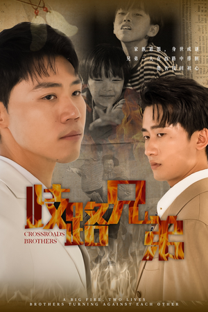 歧路兄弟(63集) 歧路兄弟(63集)热播短剧重燃