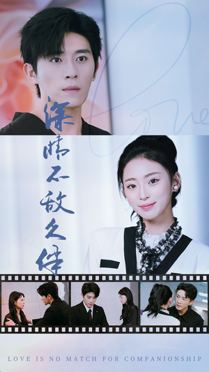 深情不敌久伴（50集）追短剧看全集