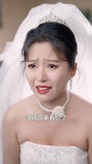 手心手背都是肉（80集）短剧全集免费看