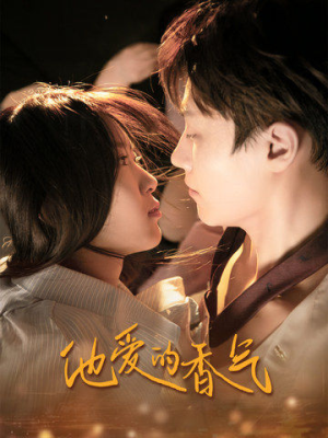 他爱的香气（81集）短剧热门分享