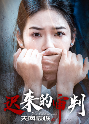 天网恢恢之迟来的审判（31集）精彩短剧天天看