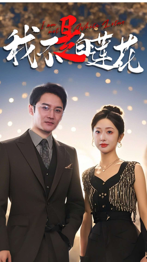 我不是白莲花（78集）第二季