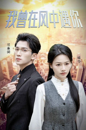 我曾在风中遇你（30集）独家内容免费看