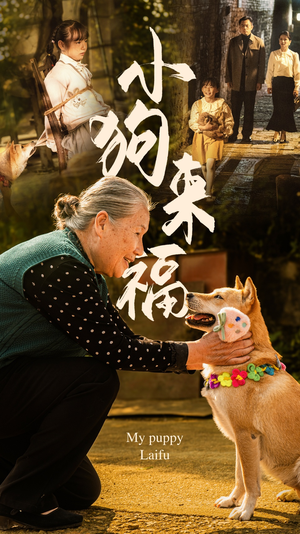 小狗来福（30集）最后的大结局