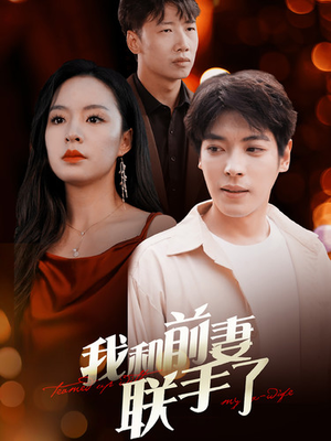 我和前妻联手了（40集）好看吗