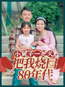 小舅子一把火把我烧回80年代（100集）在哪个平台能看