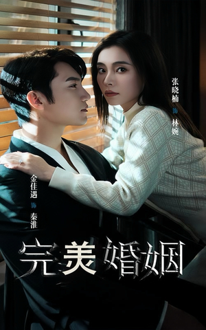完美婚姻(65集) 完美婚姻(65集)在线观看完整版