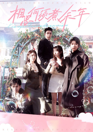 相思何须煮余年(33集) 相思何须煮余年(33集)短剧完整版免费