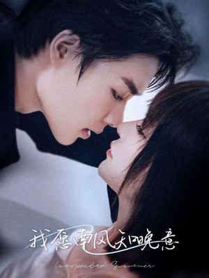 我愿南风知晚意（61集）热播短剧重燃