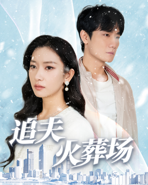 追夫火葬场（31集）在线观看全集
