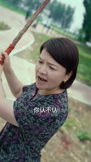 叶落归根（73集）爆款热门短剧