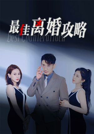 最佳离婚攻略(31集) 最佳离婚攻略(31集)免费短剧推荐
