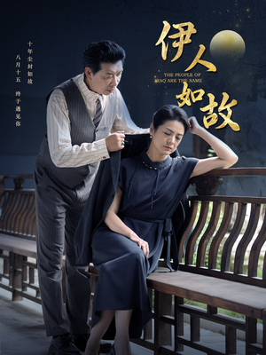 伊人如故（95集）在线免费观影