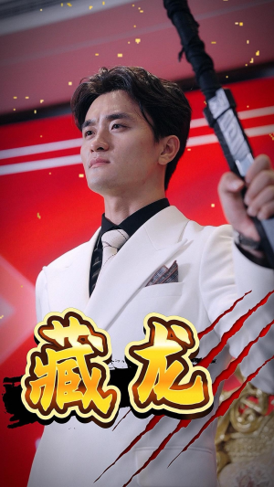 藏龙（30集）好看短剧分享