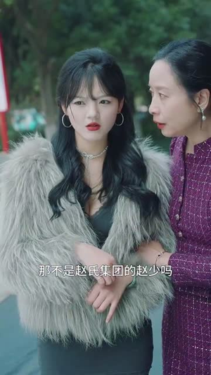 乡村卧龙(88集) 乡村卧龙(88集)免费看短剧全集