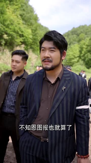 出人头地（70集）好看到停不下来