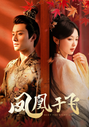 凤凰于飞（79集）最新短剧推荐