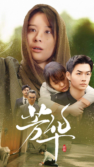 芳华（80集）完整版