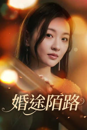婚途陌路（15集）好看到停不下来